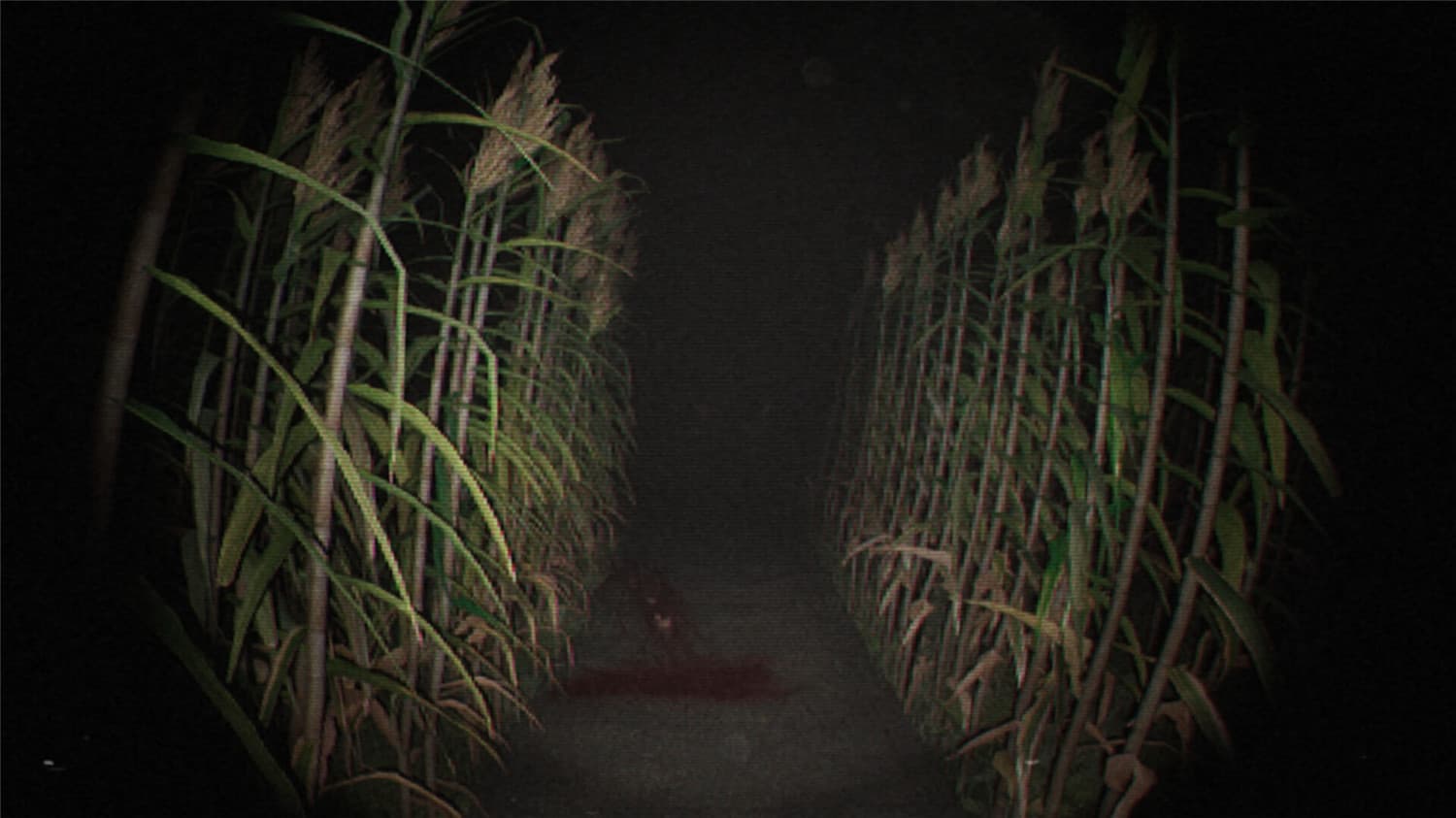 诡影实录/Unknown Tapes 更新至v1.0.0-容量7.93GB插图1