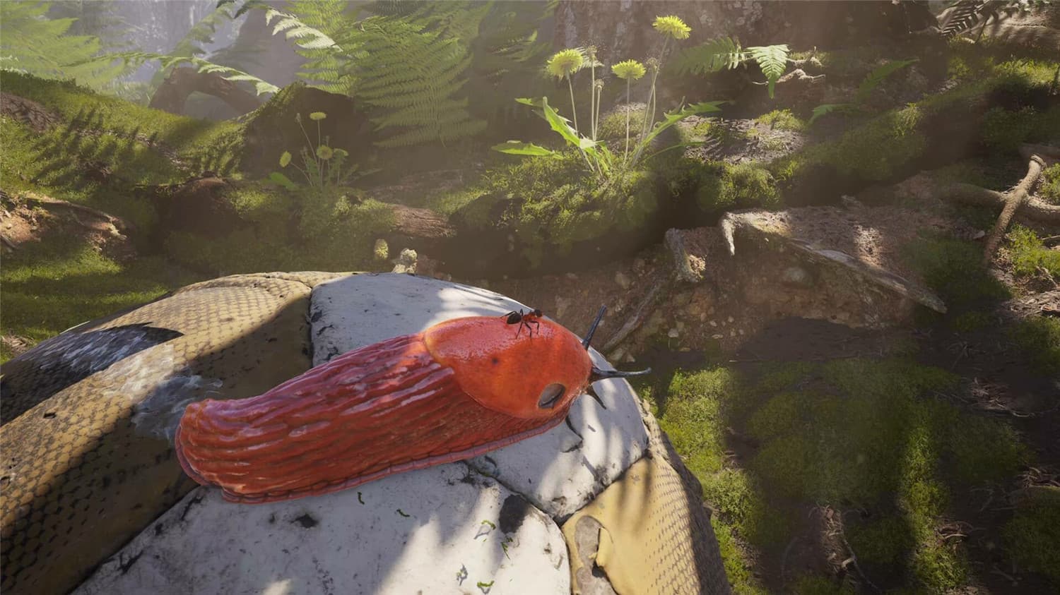 蚂蚁帝国/Empire of the Ants 更新至v1.03.20025-容量35.7GB插图5