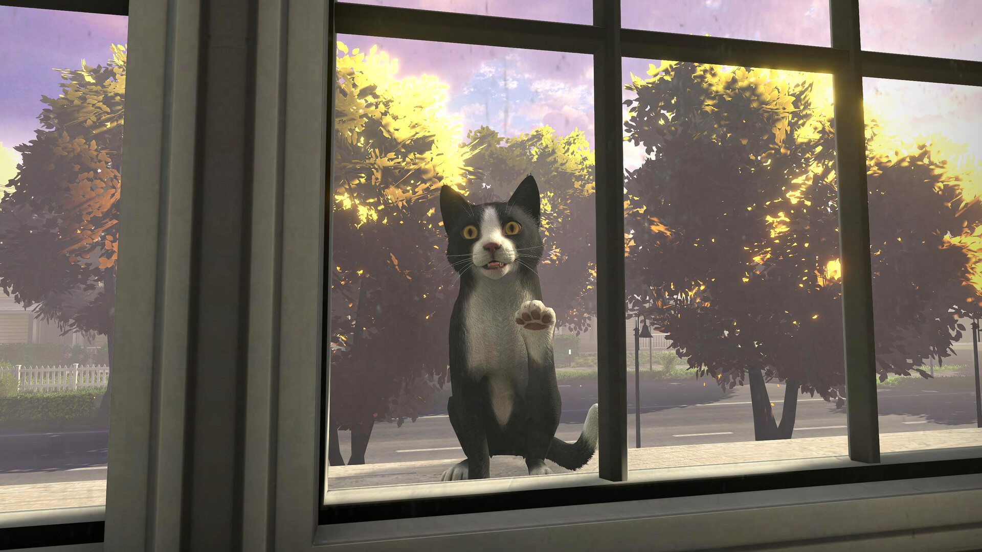 冒牌猫谜/Copycat 更新至v20241001-容量17.5GB插图3