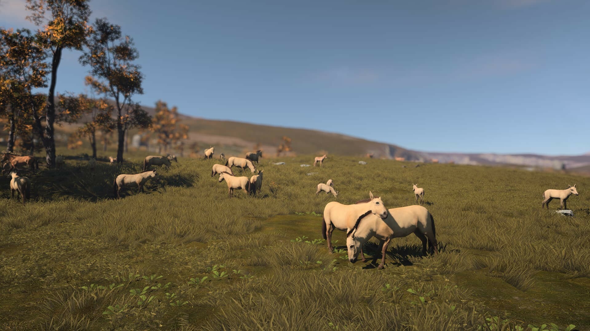 古城/古代城市/Ancient Cities 更新至Build.17161176-容量4.52GB插图2