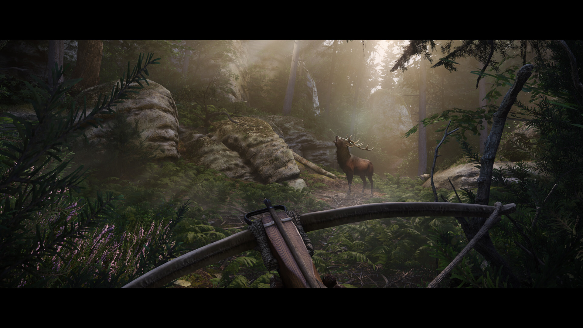 天国：拯救2/Kingdom Come: Deliverance II 更新至v1.1.1-容量112GB插图4