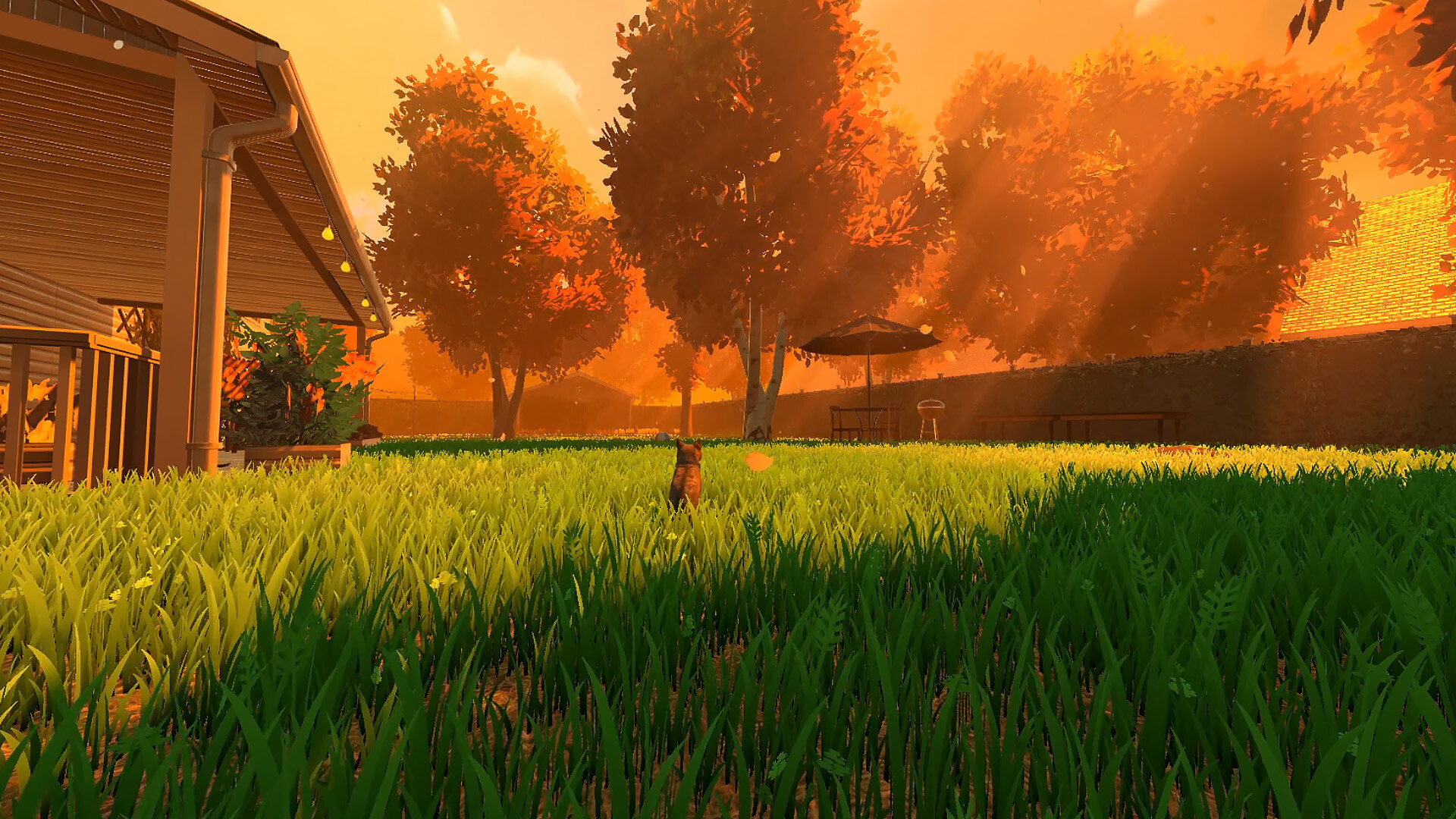 冒牌猫谜/Copycat 更新至v20241001-容量17.5GB插图4