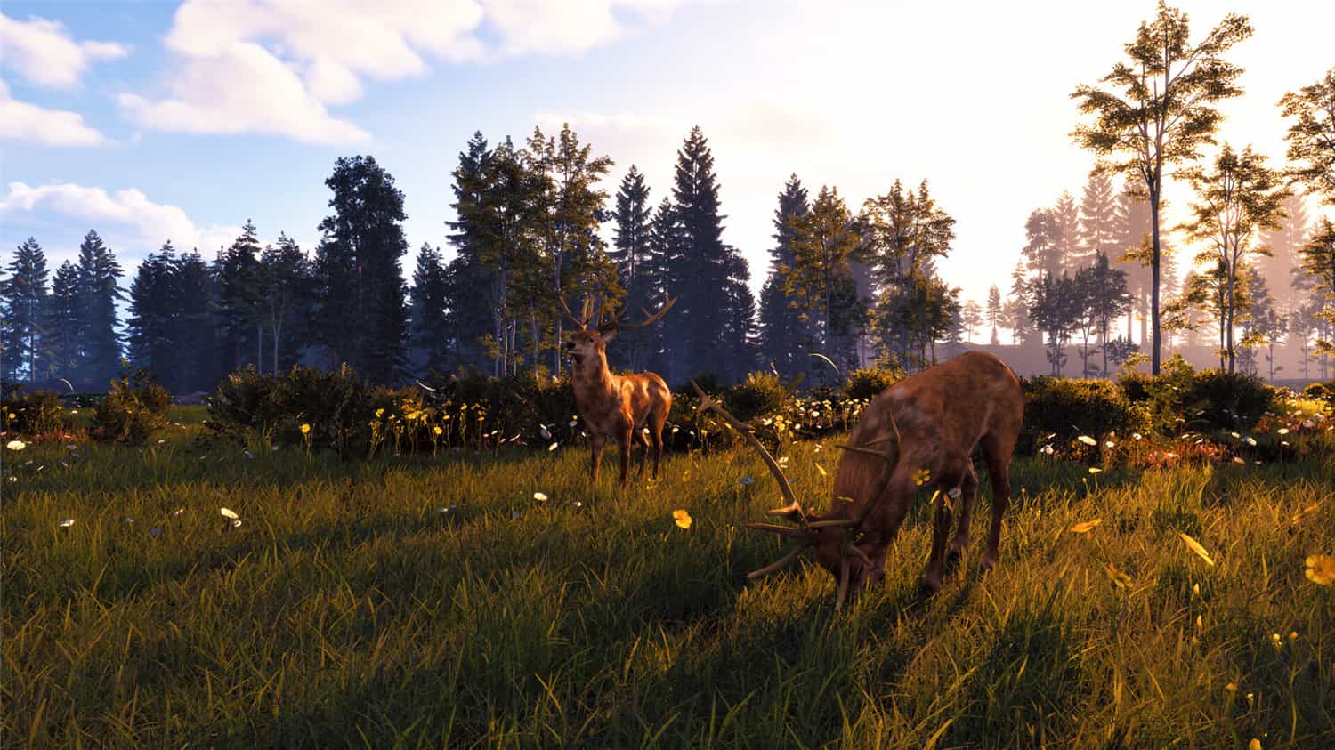 风暴：深厚友谊的开始 重制版/Windstorm: Start of a Great Friendship – Remastered 更新至v1.0.5-容量16GB插图3