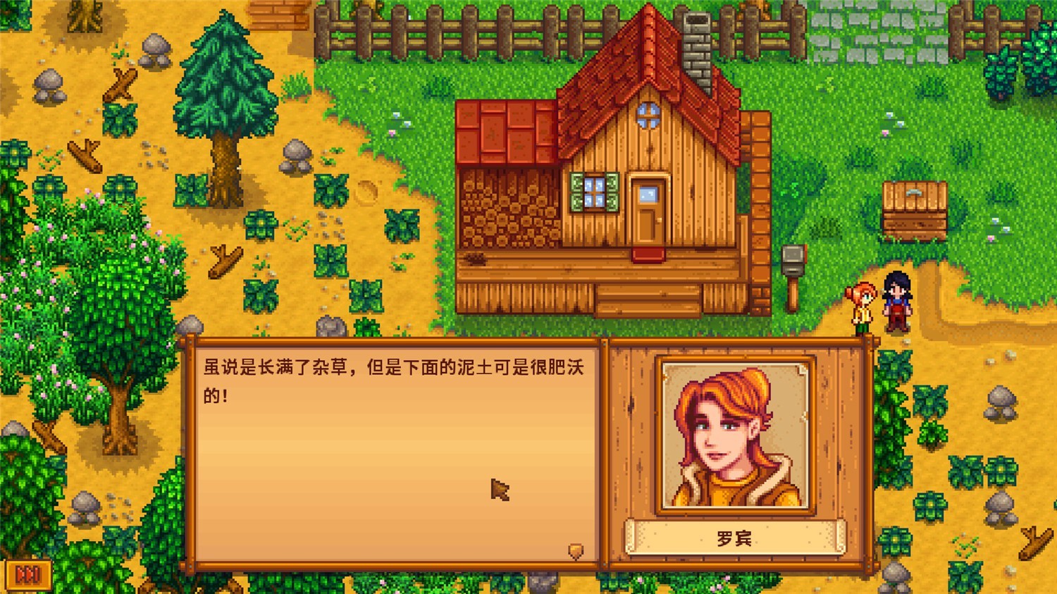 星露谷物语/Stardew Valley 更新至v1.6.14-容量882MB插图3