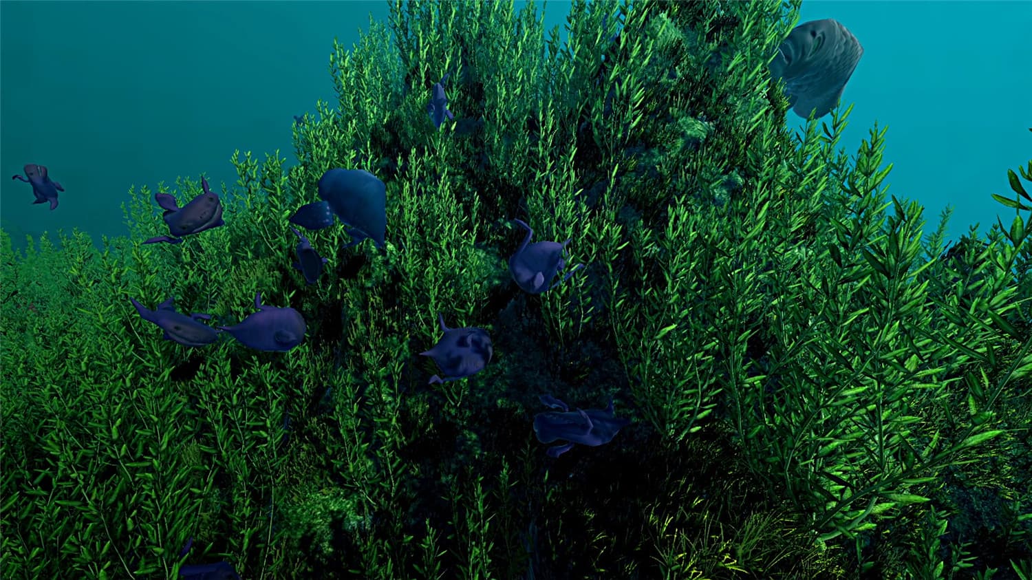 生态系统/Ecosystem 更新至v1.0.0-容量3.3GB插图2